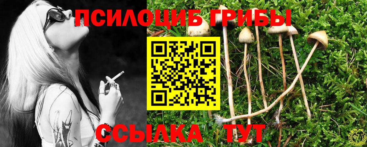 Псилоцибиновые грибы ЛСД  Вход с VPN  Тихвин 