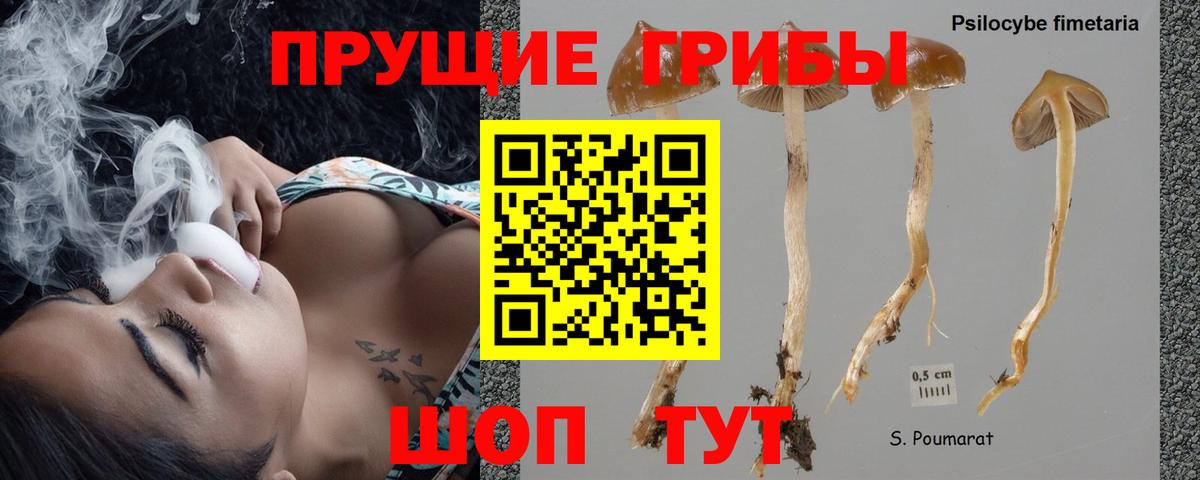 Псилоцибиновые грибы ЛСД Тихвин